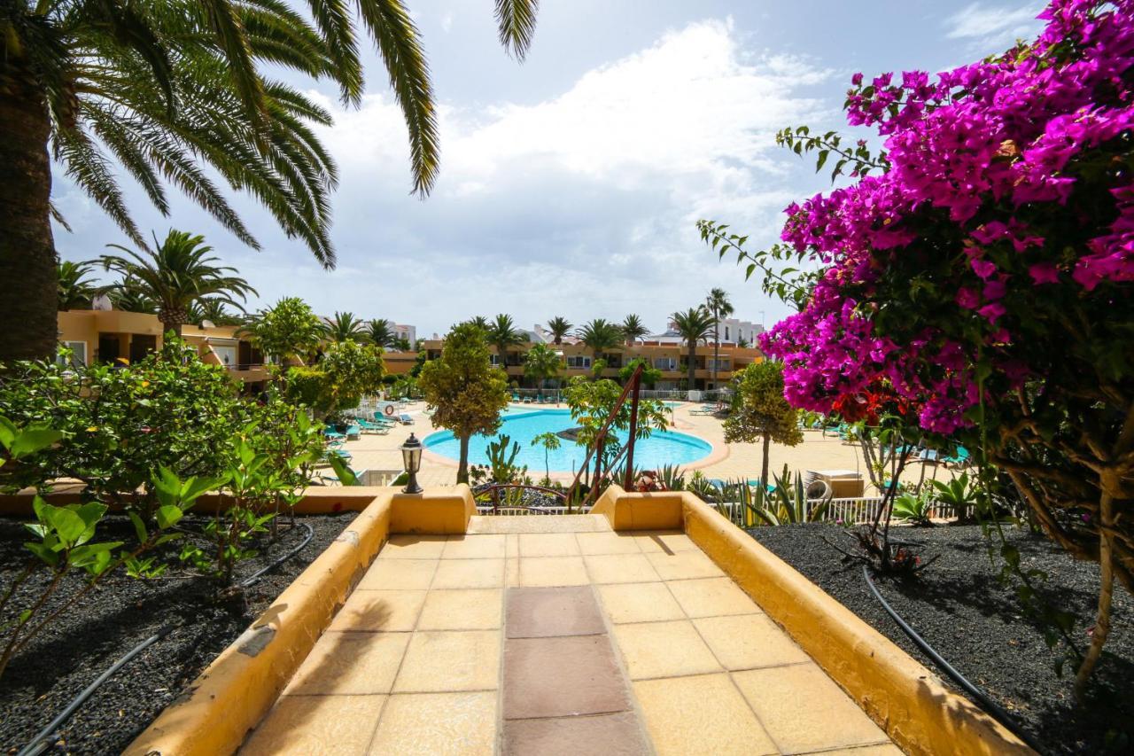 Apartment Apple Dunes With Pool Corralejo By Holidays Home المظهر الخارجي الصورة